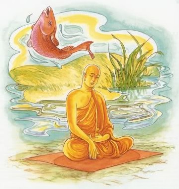 Kinh Pháp Cú 34