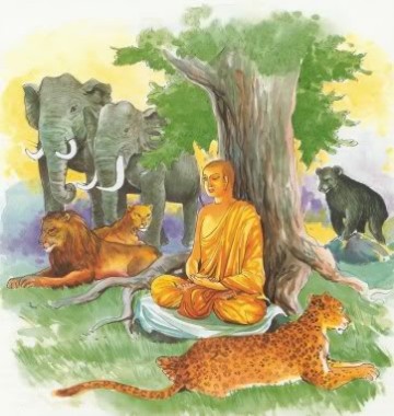 Kinh Pháp Cú 39