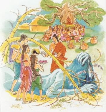 Kinh Pháp Cú 164