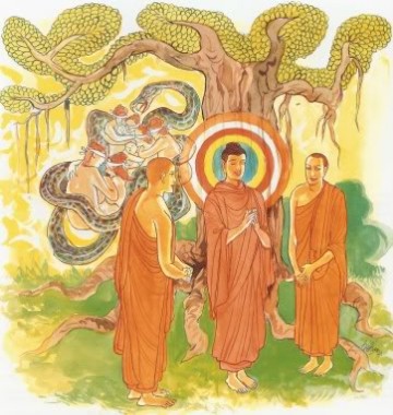 Kinh Pháp Cú 199