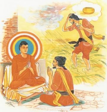 Kinh Pháp Cú 216