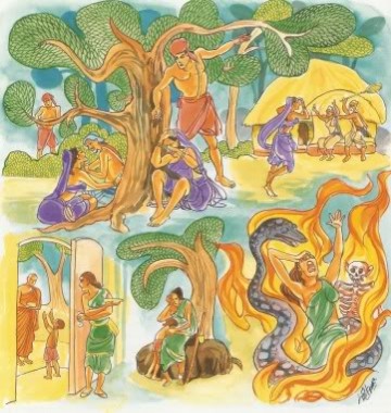 Kinh Pháp Cú 242