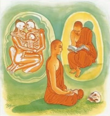 Kinh Pháp Cú 293