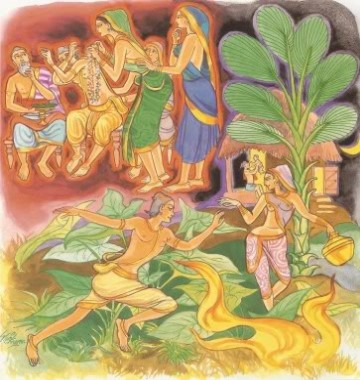 Kinh Pháp Cú 317