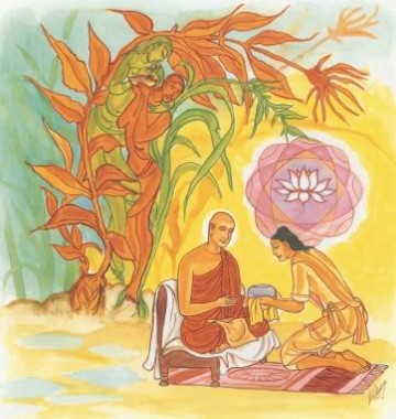 Kinh Pháp Cú 356